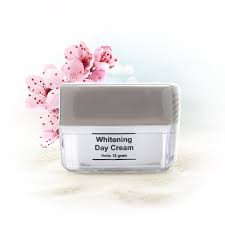 MS glow Day cream