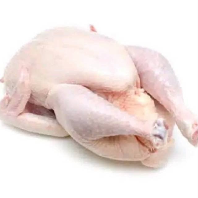 

Ayam karkas utuh 1kg