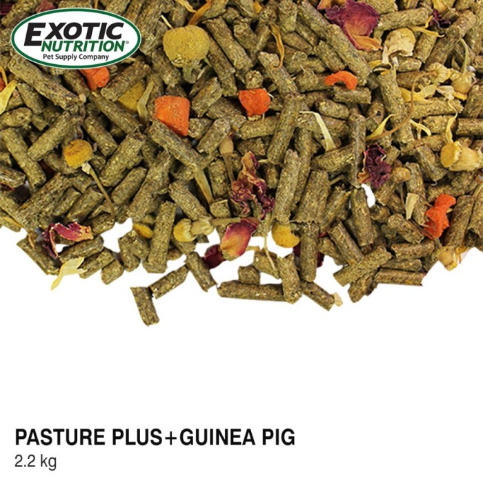 Exotic Nutrition Pasture Plus Makanan Marmut gp cavy Guinea Pig 2.2kg