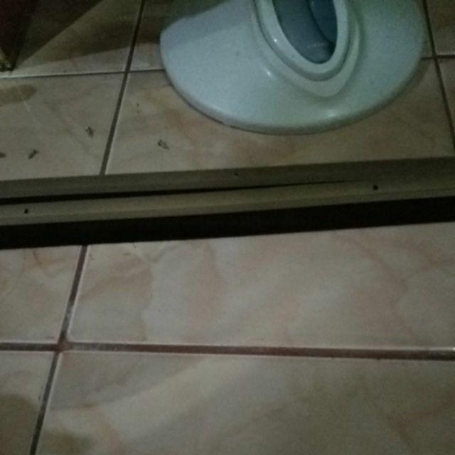 Alumunium + Double Tape Door Brush Bottom Seal / Lis Bulu Penutup Celah Lubang Bawah Pintu