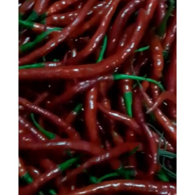 

CABAI / CABE MERAH KERITING 250G 500G