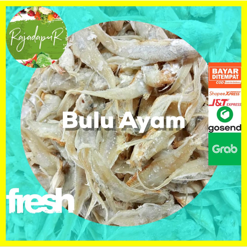 

Ikan Asin Bulu Ayam Super Premium 250gr