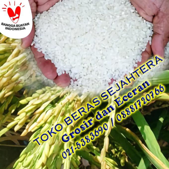 

Ready Stok Beras Khusus Organik Mentik Susu 5 Kg Terlaris