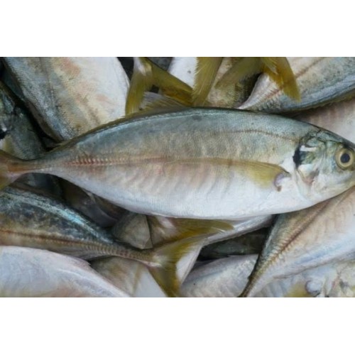 

Bandung - Ikan Kembung 500 g