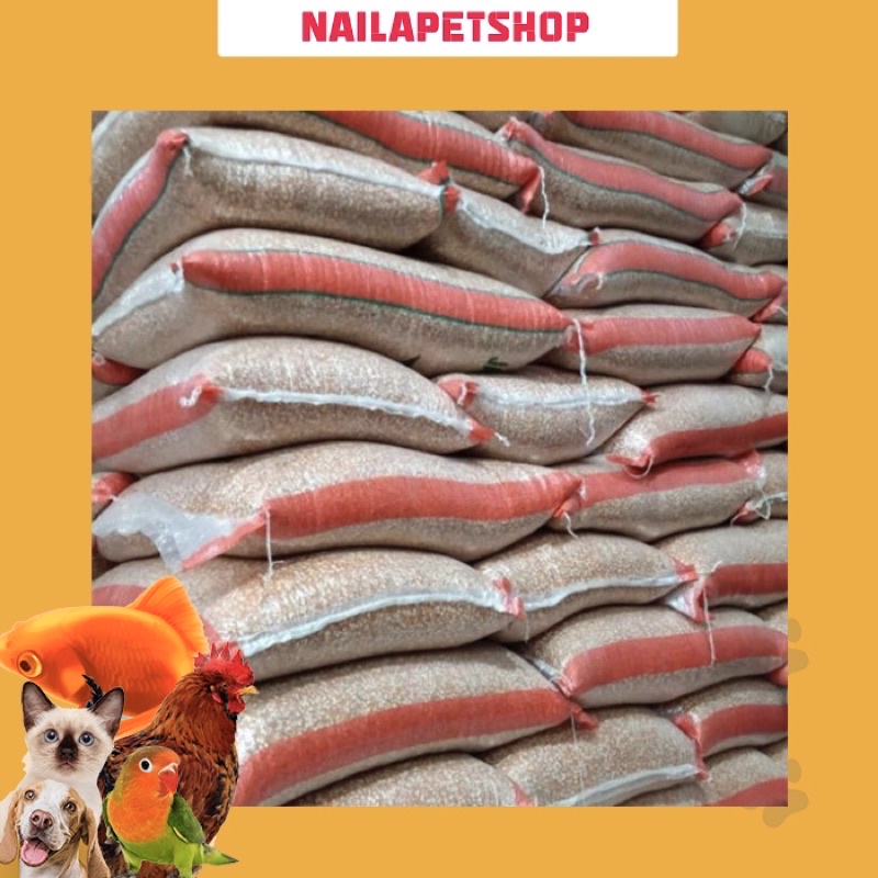 JAGUNG KRISTAL MERPATI 25kg / JAGUNG KRISTAL PAKAN BURUNG DARA