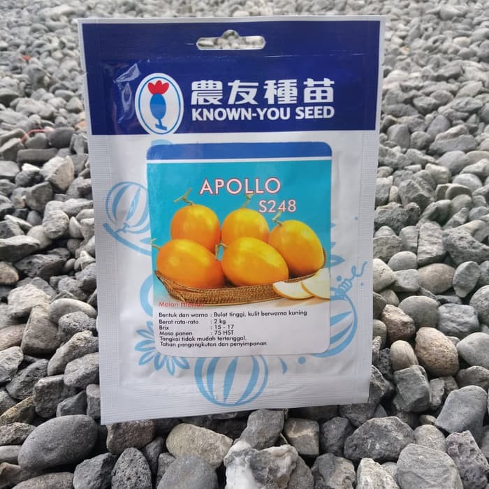 Bibit Benih MELON APOLLO 20 Gram