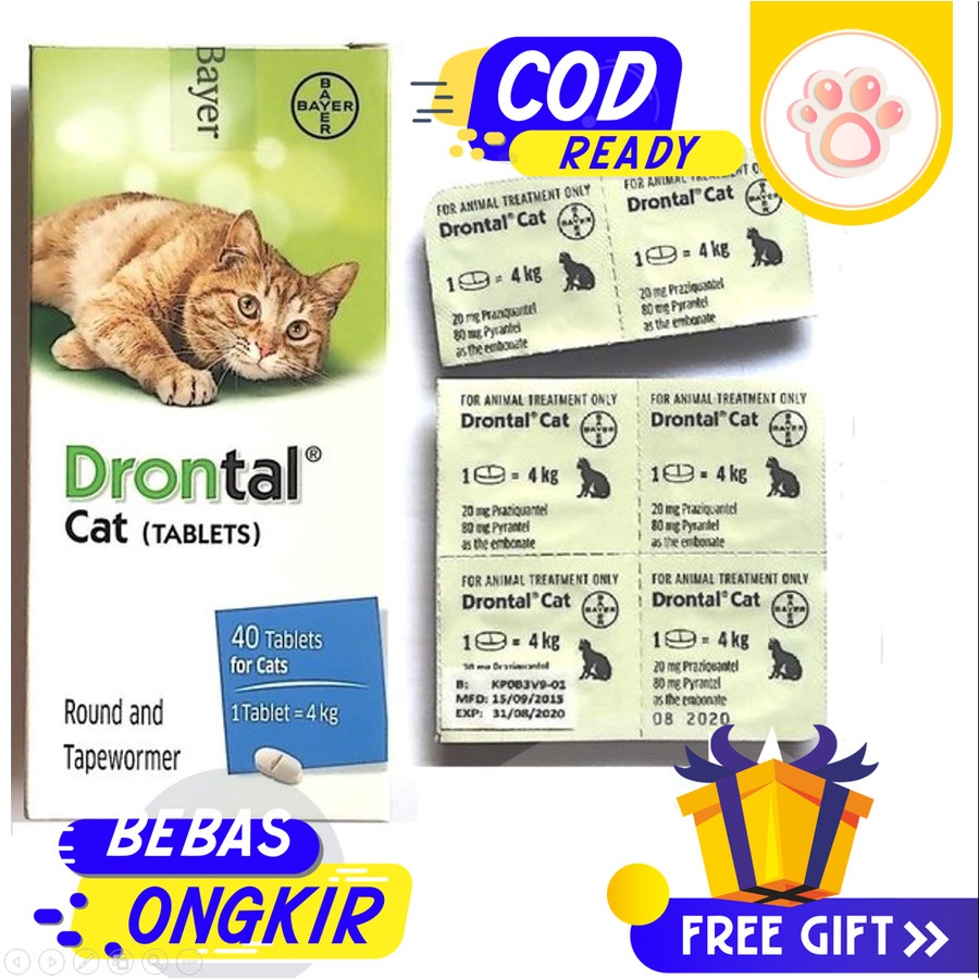 Drontal Cat Obat Cacing Kucing Drontal Tablet Bayer Asli Free Gift
