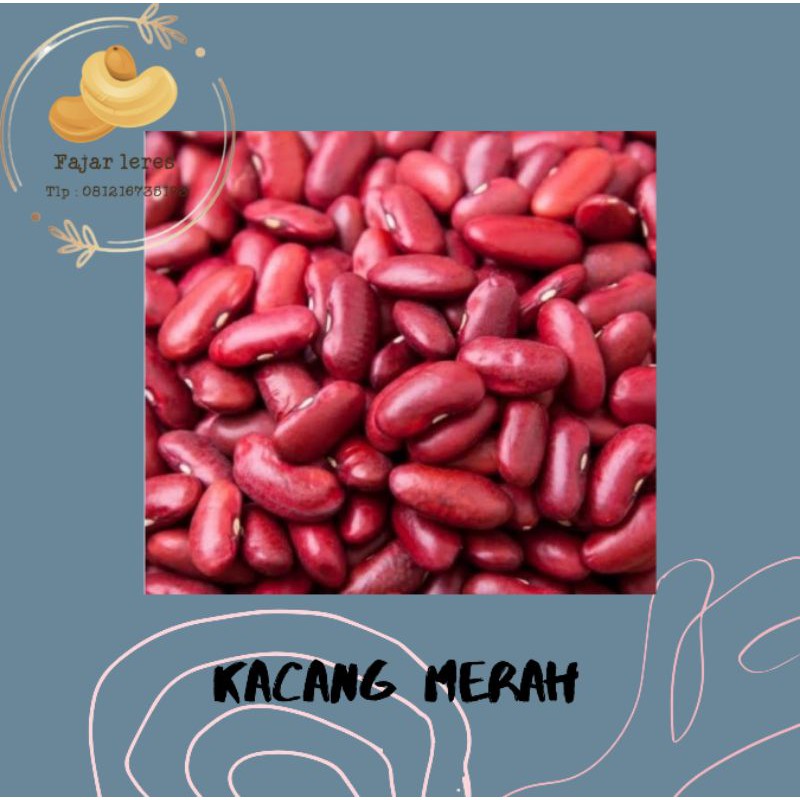 

Kacang Merah
