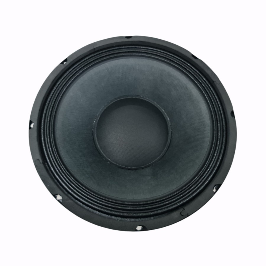 SPEAKER PEAVEY 10 INCH PRO RIDER 600 WATT