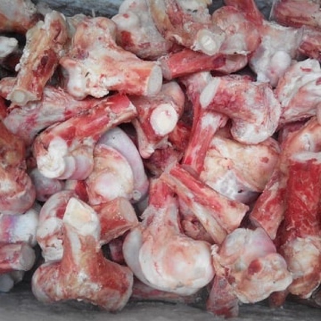 

Tulang sumsum sapi