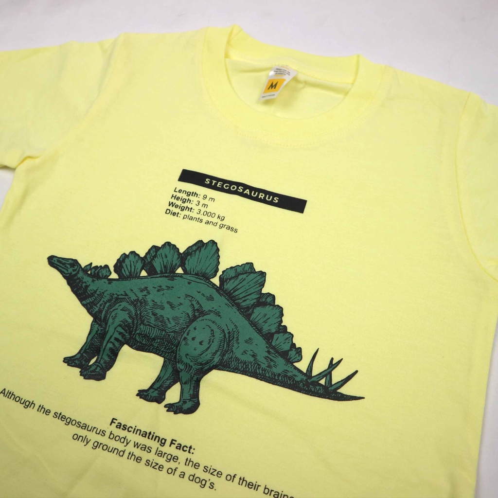 KAOS ANAK DINO FACTS SERIES 1 - 10 T