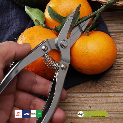 

GUNTING BONSAI PRUNING DAUN buah full stainless steel Best Seller