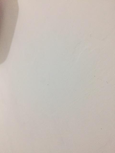 Selot / Grendel Pintu Stainless 12in 30cm