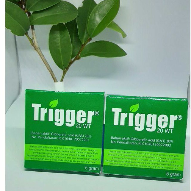 TRIGGER 20WT (GA3)