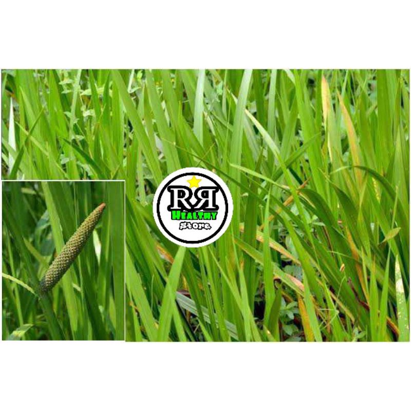 

daun dlingau segar 100 gram dlingo/jeringau/jaringao berkualitas