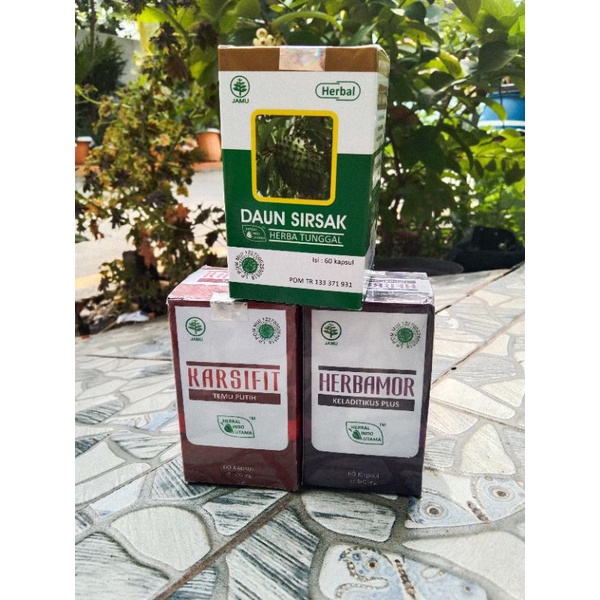 

paket herbal tumor dan kanker original