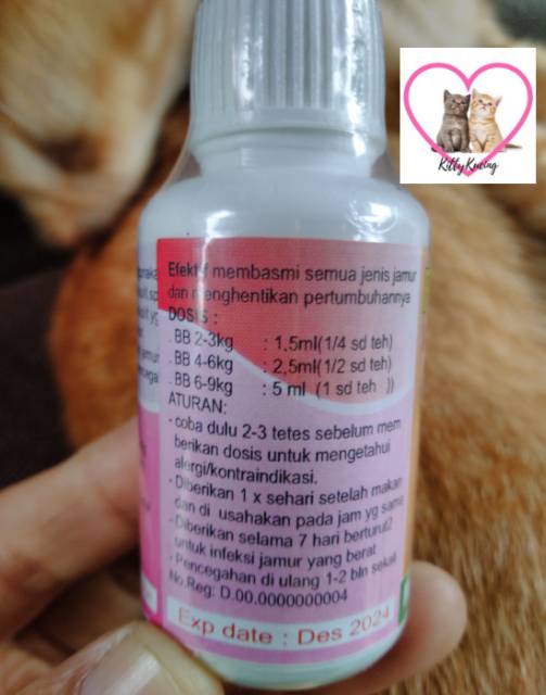 Obat Infeksi Jamur Kucing FUNGI STOP