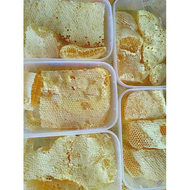 

SARANG MADU / HONEYCOMB / SARANG MADU MURNI