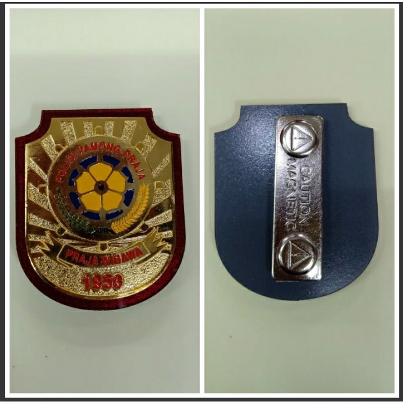 KEWENANGAN POL PP ATRIBUT POL PP