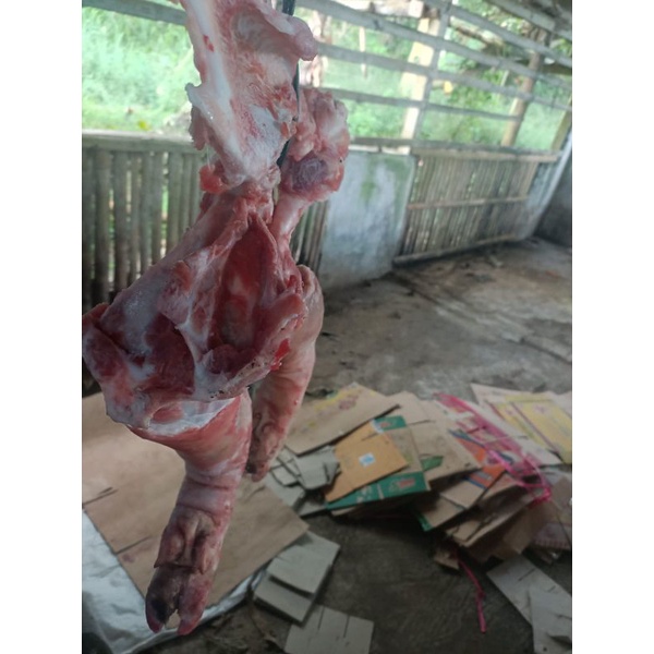 

menjual daging b2 partai besar/kecil