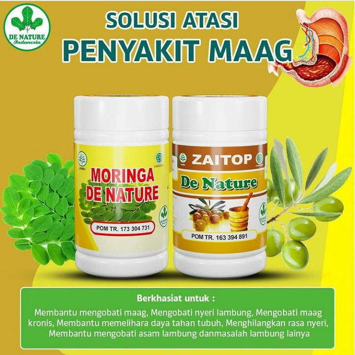 Obat Asam Lambung Gerd Maag Kronis Tukak Lambung Radang Lambung Gastritis Herbal Shopee Indonesia