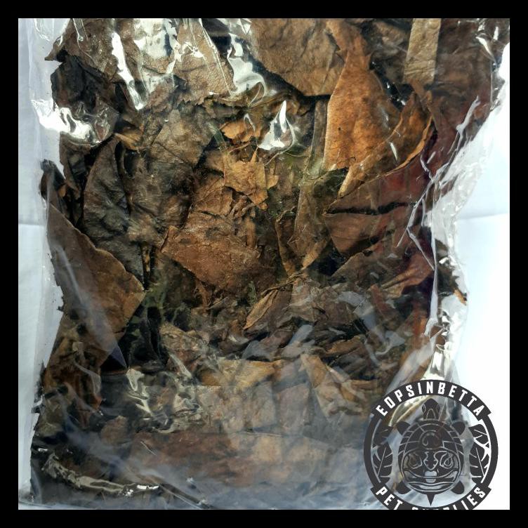

DAUN KETAPANG LAUT OLAHAN HERBAL ALAMI PENCEGAH PENYAKIT DAN STRES BERKUALITAS