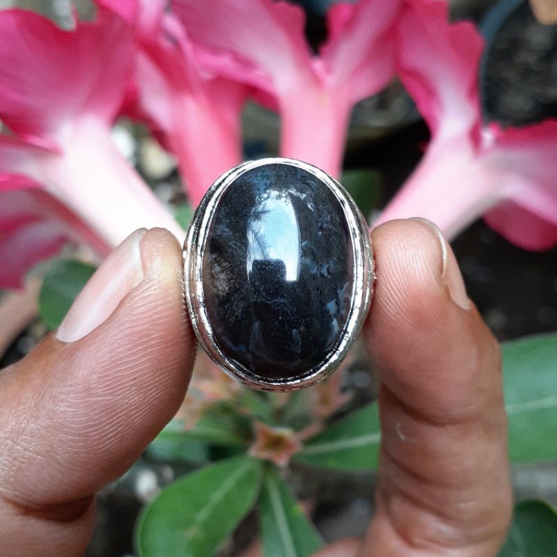 Batu Fosil Kelor Kristal