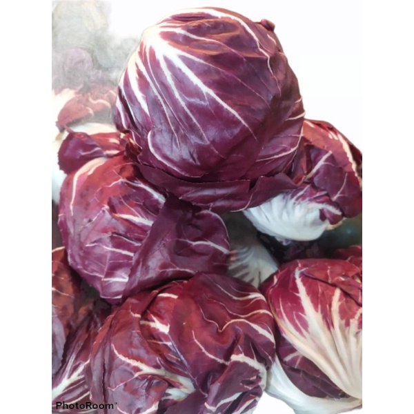 

radicchio 500 gram