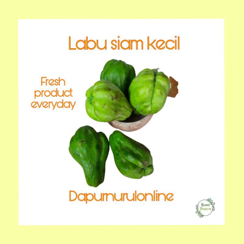 

Labu siem kecil/Labu lalap 250 gr - 1 kg