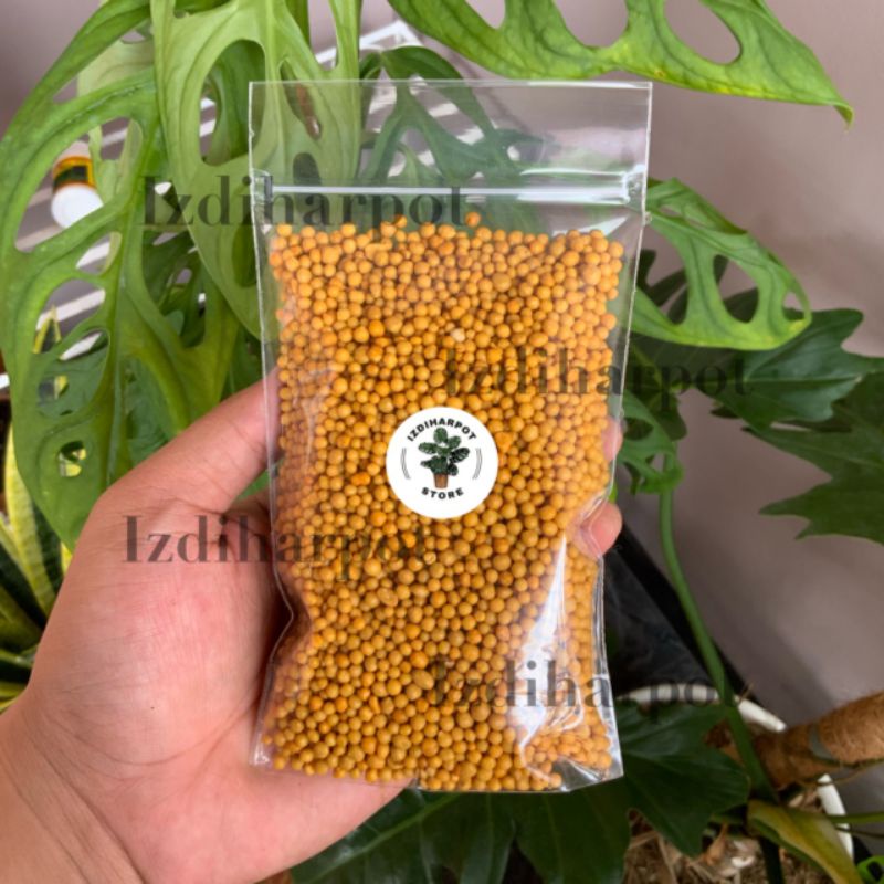 PUPUK OSMOCOTE 14-14-14 SLOW RELEASE FERTILIZER REPACK 200 GRAM UNTUK TANAMAN HIAS