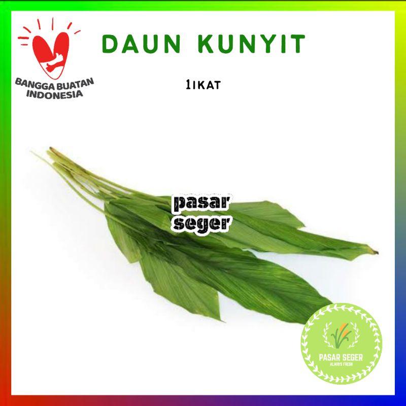 

daun kunyit / kunir [1 ikat]