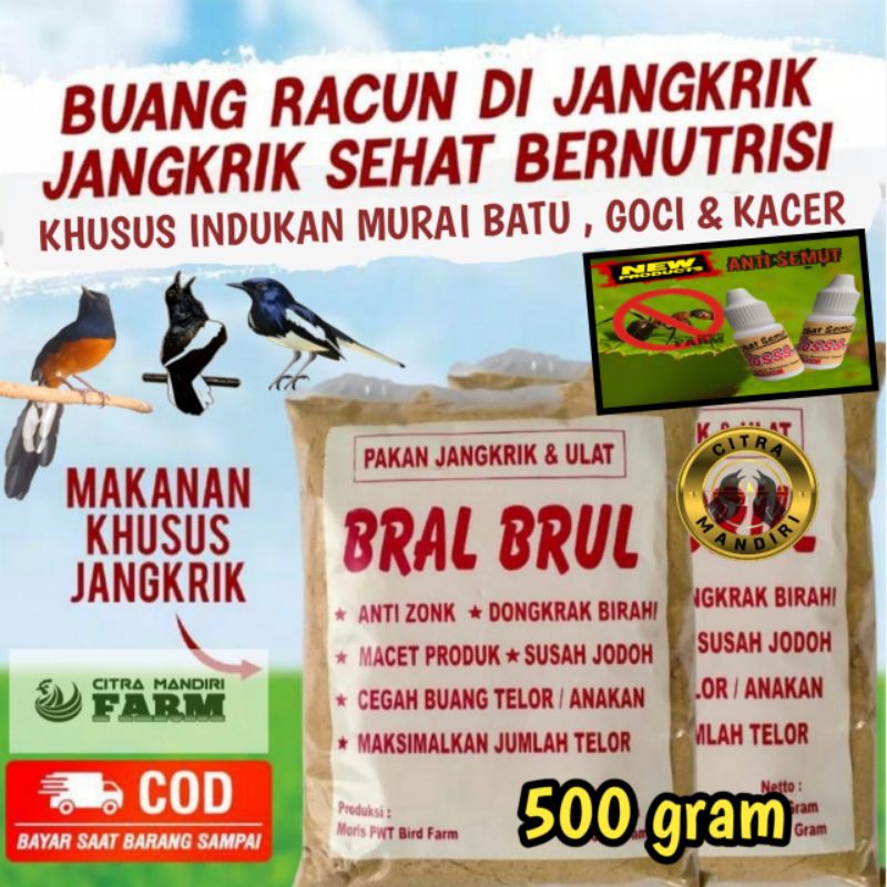 TERLARIS BRAL BRUL & OBAT ANTI SEMUT SUPER AMPUH