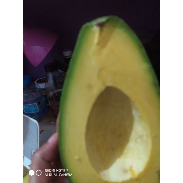 

Alpokat Mentega Jumbo