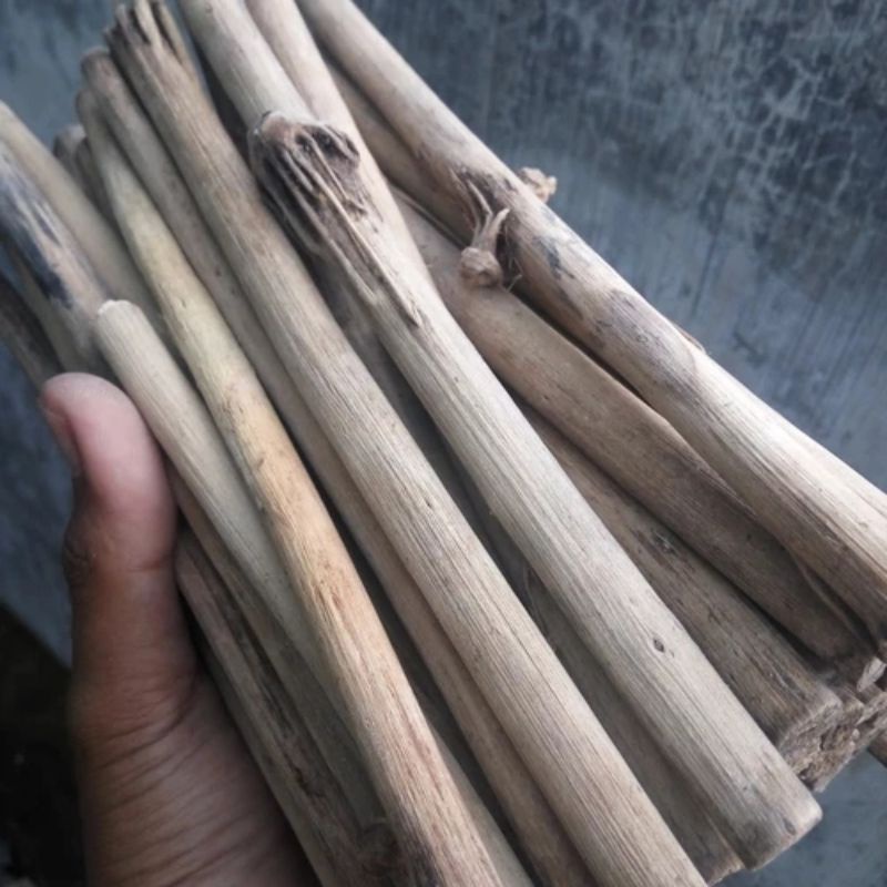 KAYU TLOGOSARI LANGKA 100% ASLI 30CM// KAYU SERBAGUNA