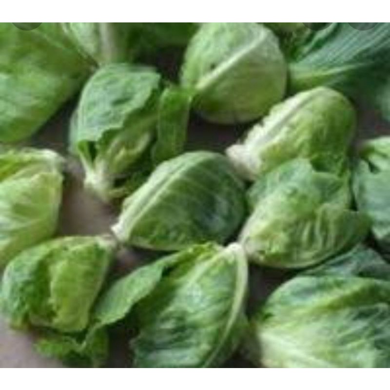 

CUCIWIS PER 250 GR SAYUR SEGAR PALEMBANG
