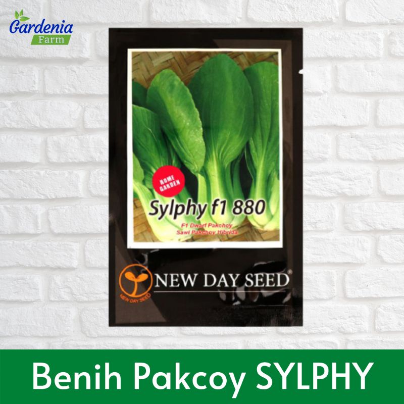 Benih Pakcoy Sylphy Import - New Day Seed