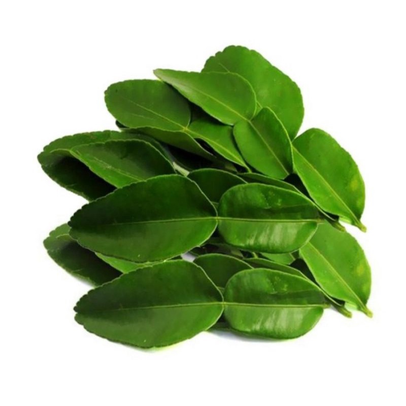 

Daun Jeruk Segar - Untuk Memasak 1 pack