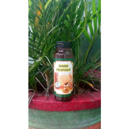 

Madu Propolis 350 gr