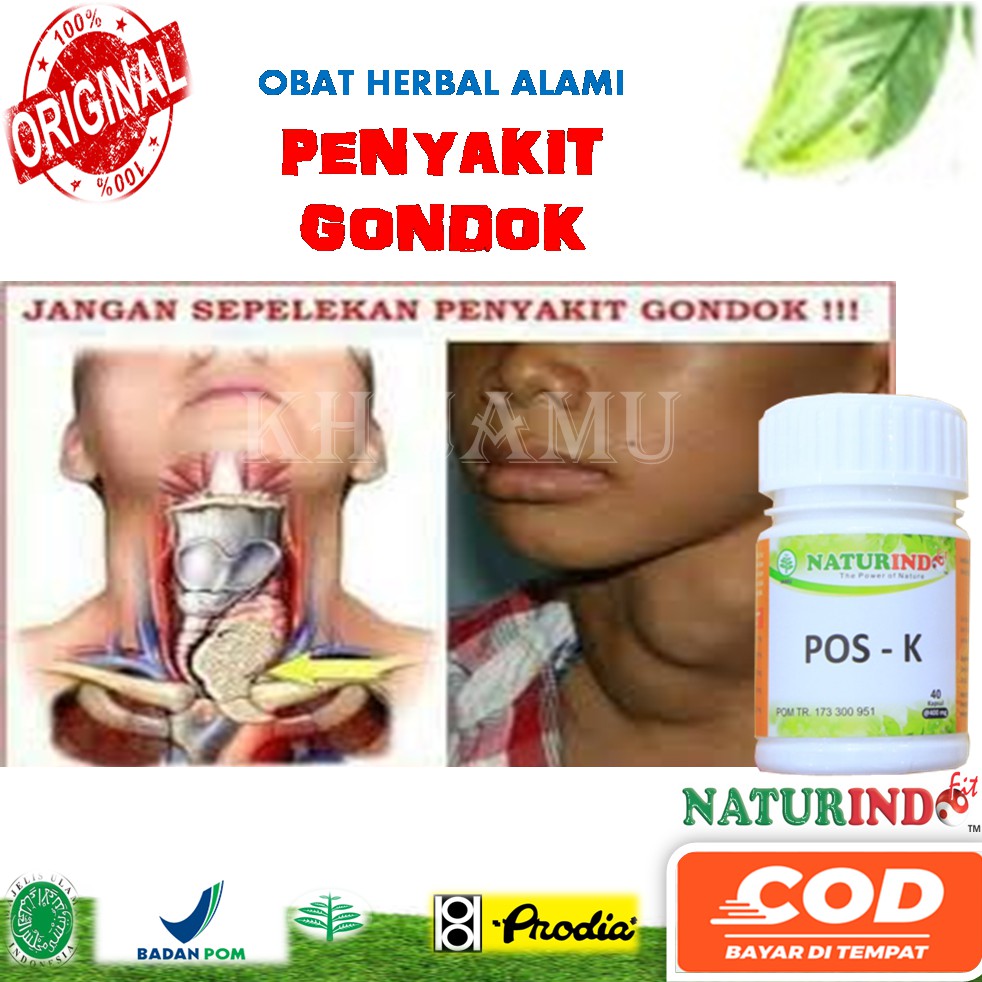 Herbal Obat Gondok Obat Kelenjar Tiroid Obat Benjolan Di Leher Obat Gondok Teroid POS K NaturindoFit