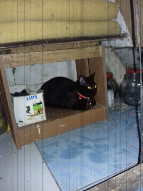 [bayar Di Tempat]garpu Dengan Gagang Panjang Ganda Bahan Stainless Steel Untuk Makan Malam