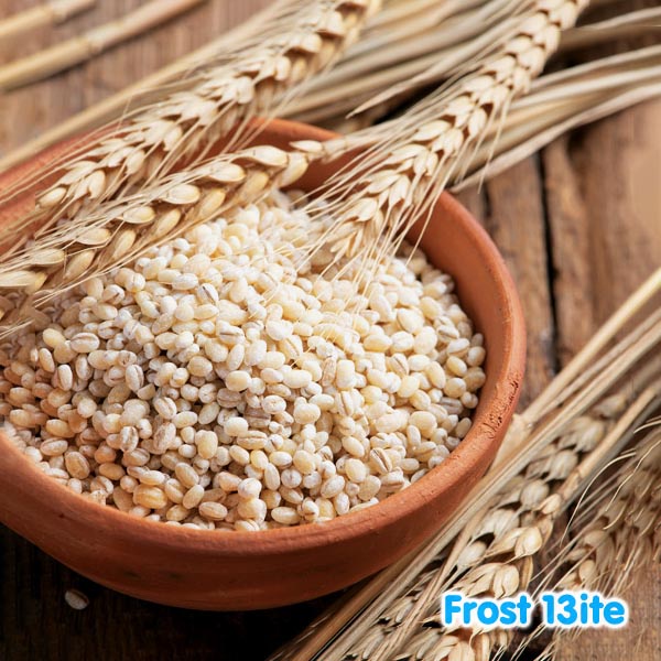 

Pearl Barley / Yi Mi / Ikmi / Imie / Barli / Jelai / Biji Jali / Jali-Jali 500g