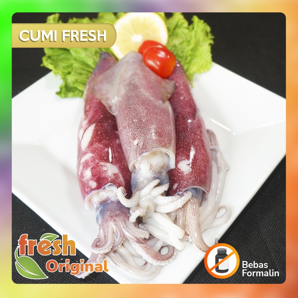 

Seafood Cumi Fresh Berkualitas