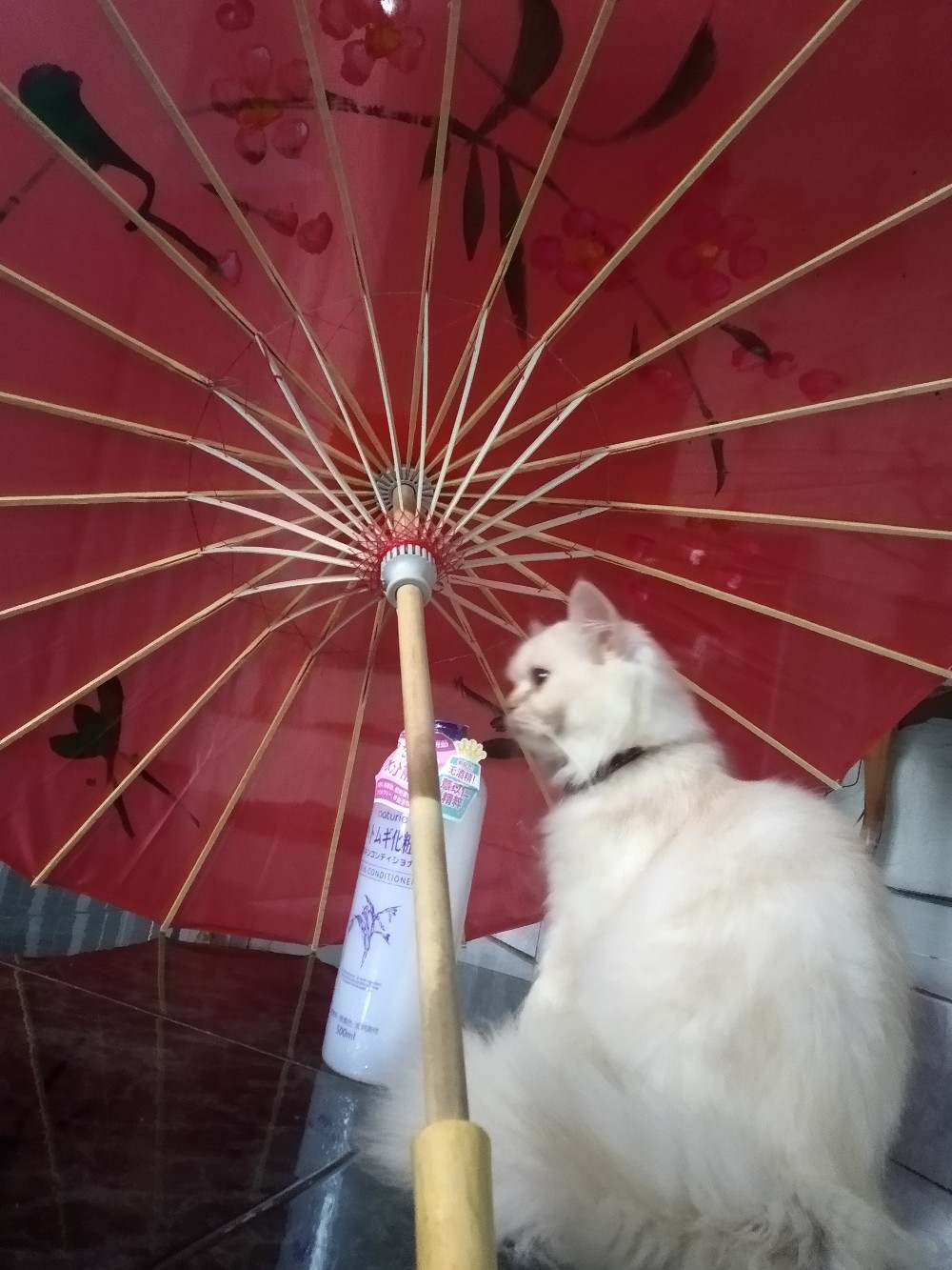Payung Kayu Jepang Diameter 84cm
