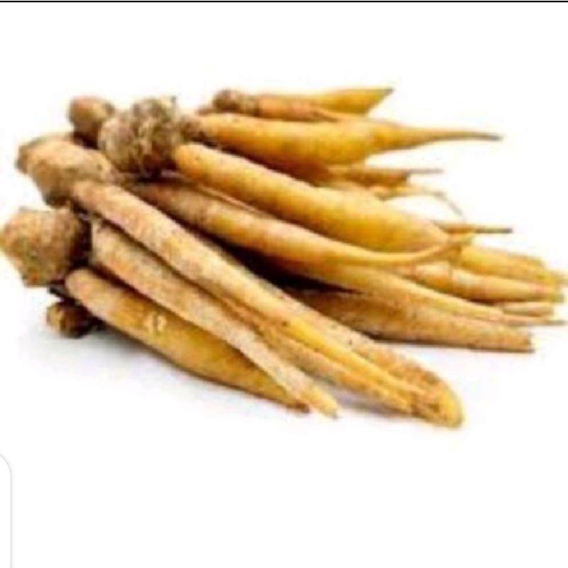 

Puri Segar Shop, Temu Kunci Rempah 100 Gram