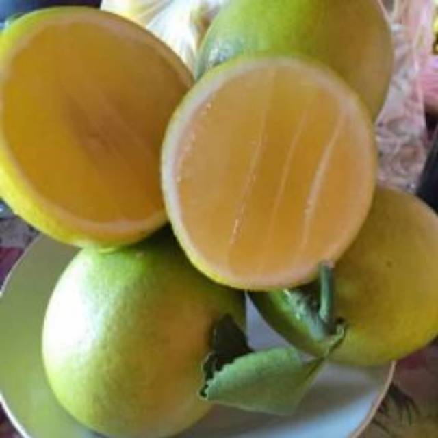 

Lemon Meksiko 1kg