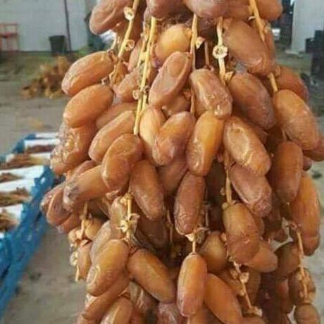 

kURMA PALM FRUIT 200GR / KURMA / PALM FRUTT / OLEH OLEH HAJI / TUNISIA TANGKAI / KURMA TANGKAI