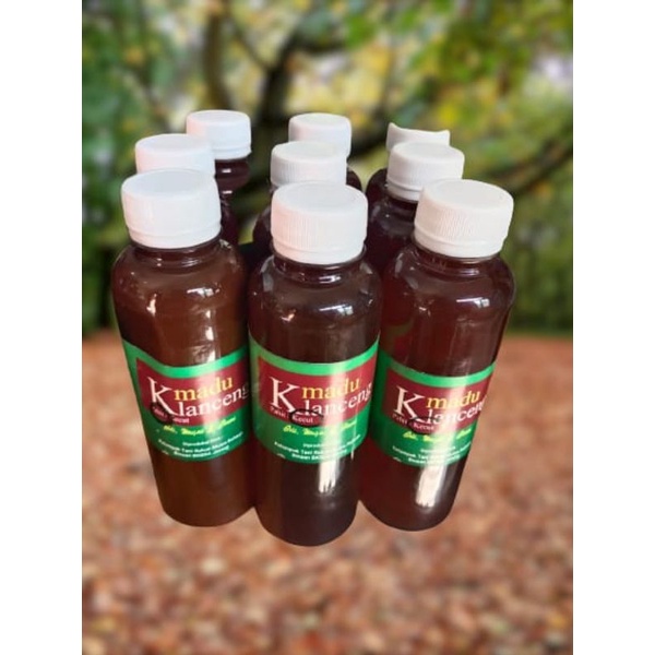 

madu klanceng premium