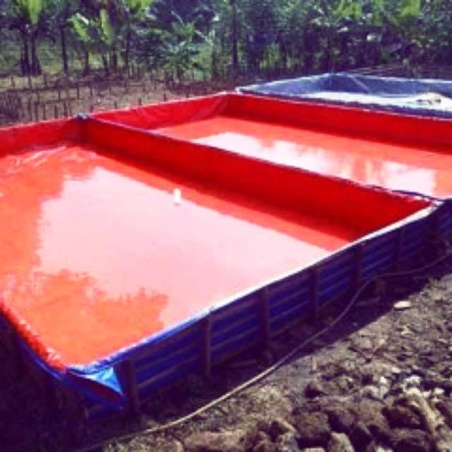 Kolam terpal 4x6x1 A12