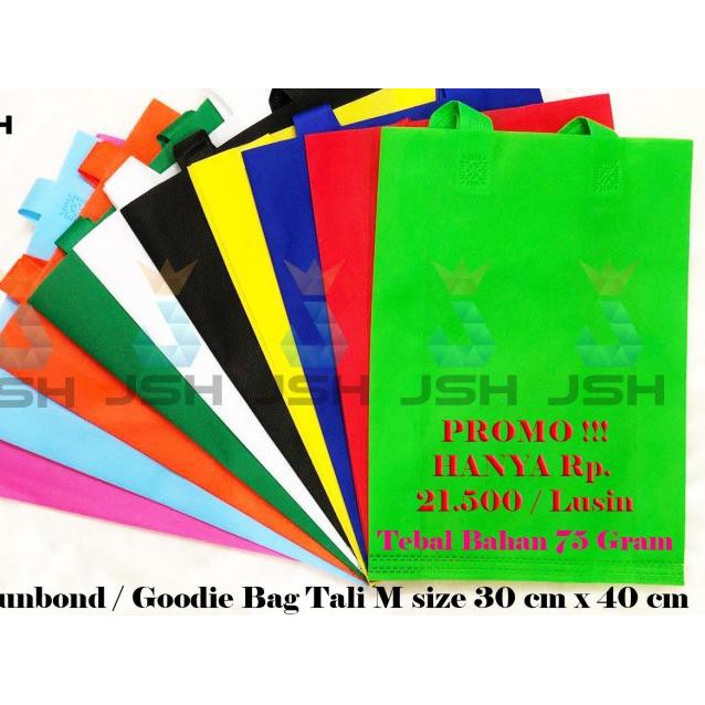 

-758 Goodie Bag Tali 30 x 40 Polos Harga PER LUSIN | Spunbond Tali MEDIUM - Putih