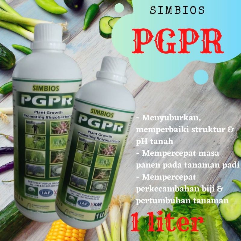 Fungisida Untuk Akar Anggrek, READY Pupuk Simbios PGPR